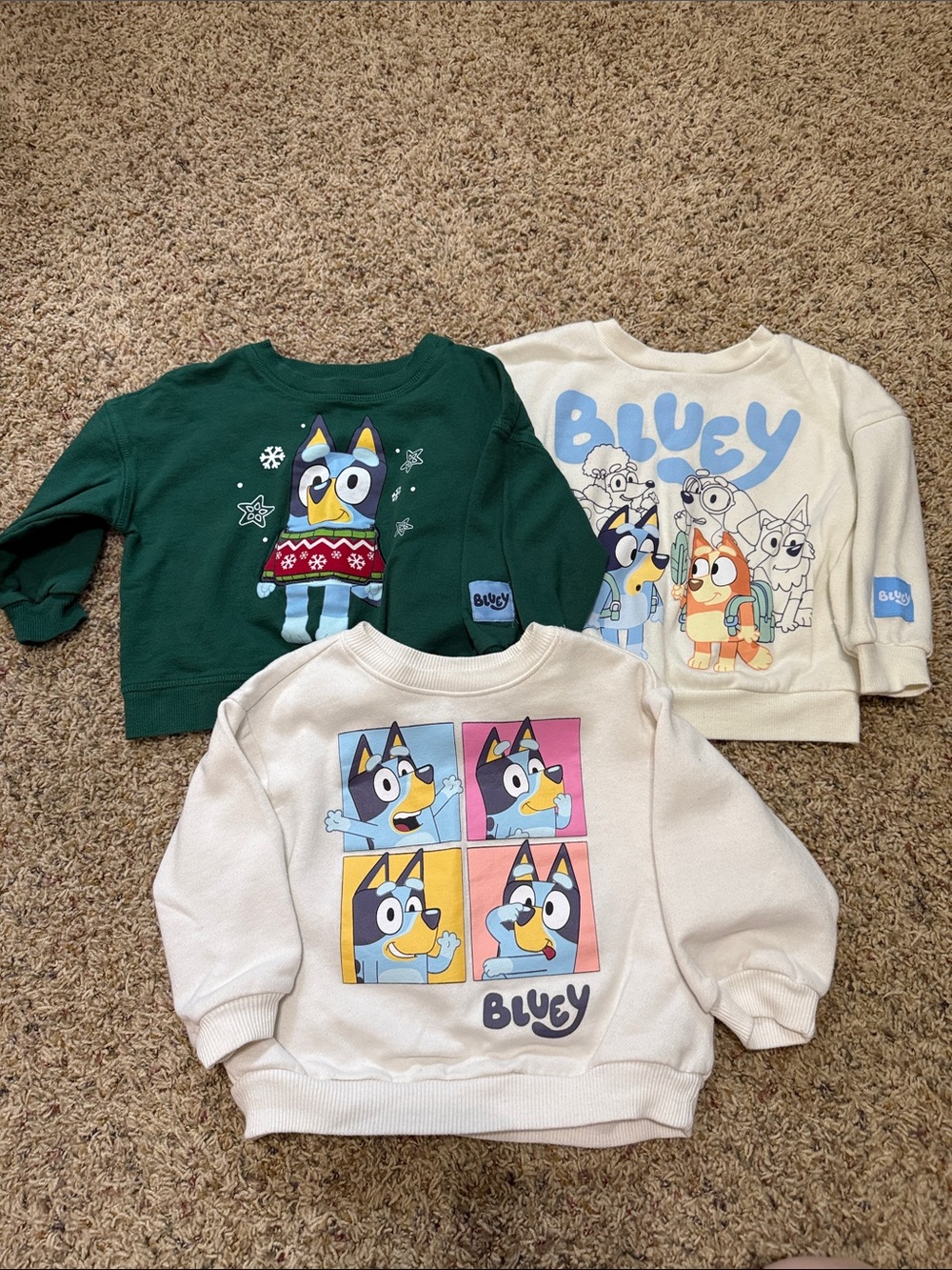 Bluey Kids Pullover Sweatshirt - Cream & Green